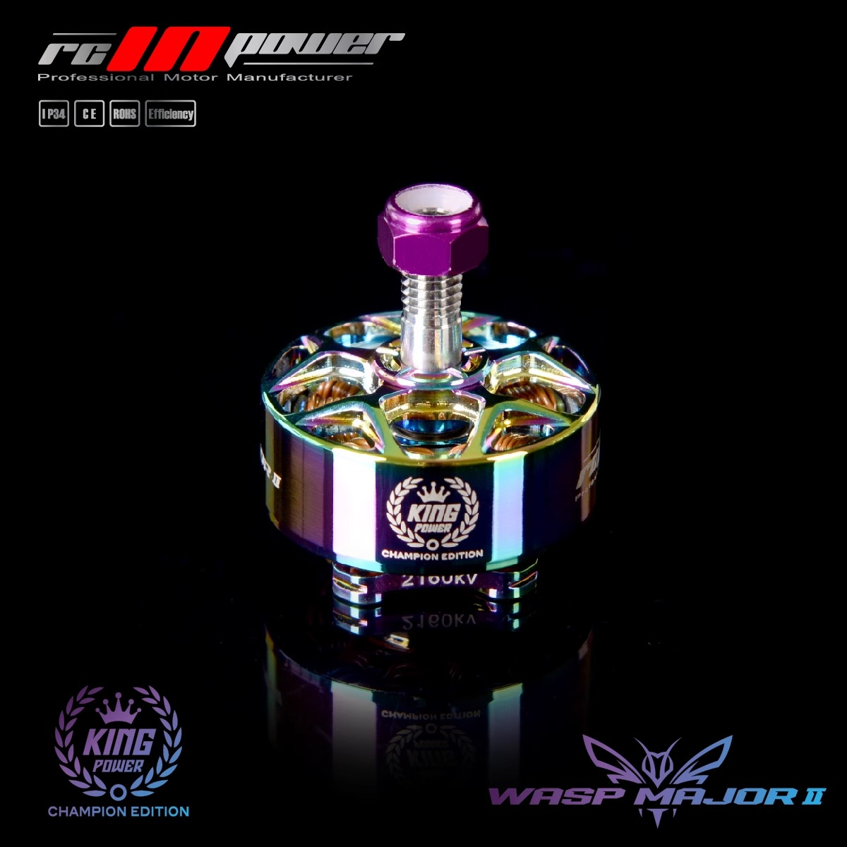 RCINPOWER WASP MAJOR V2 22.6-6 - Drone Battery 6S 리뷰 및 가격